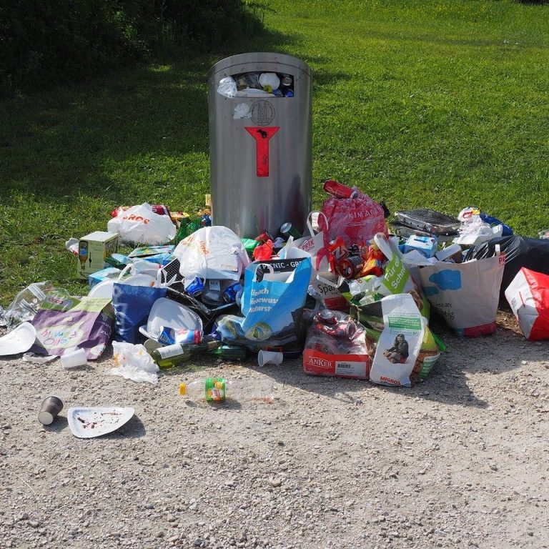 „Ab ins Grüne“ – Müllsammelaktion am Mittwoch