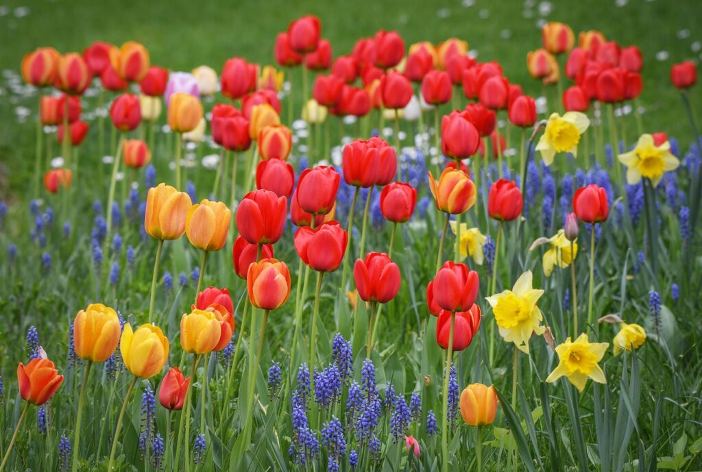 flowers 6274514 1280 (1)