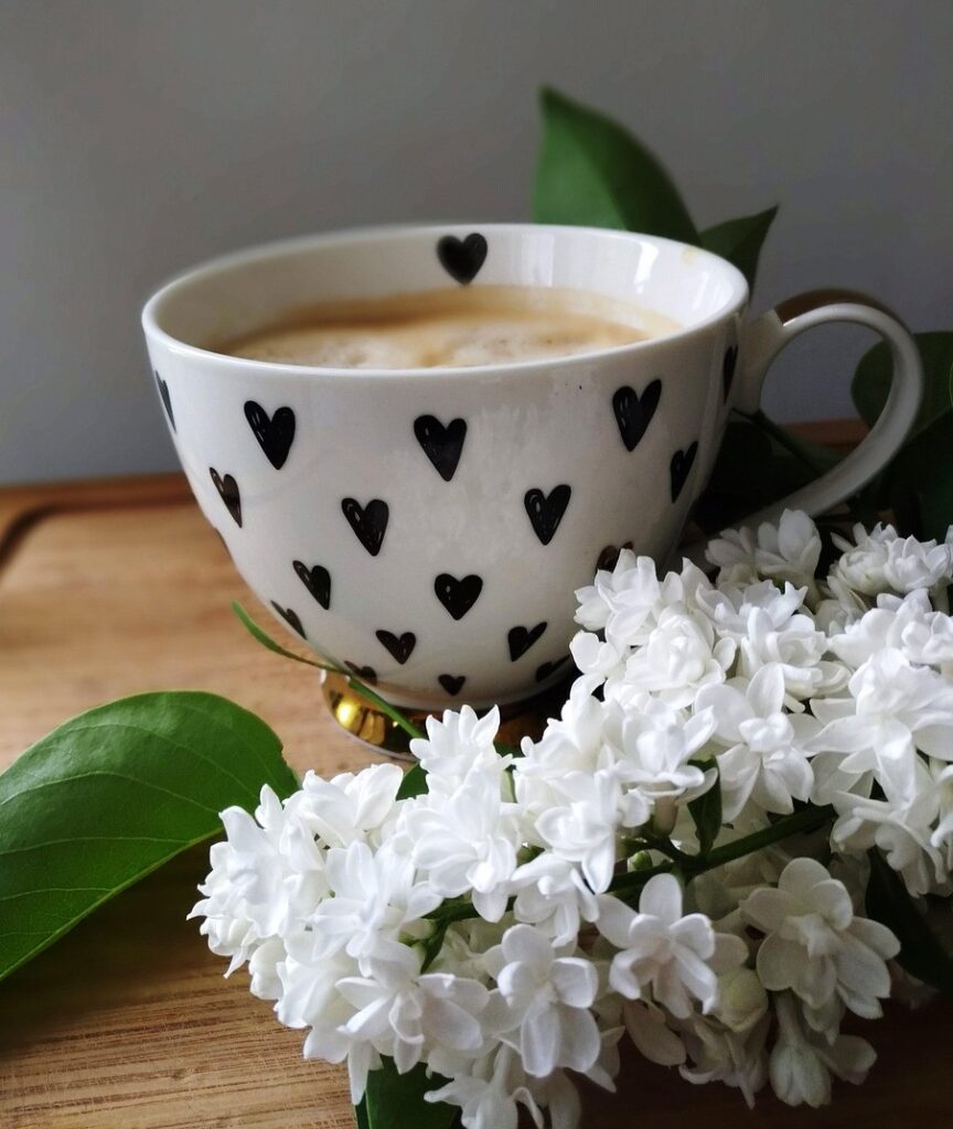 508486639 1017261650562177 7706106618217400854 n