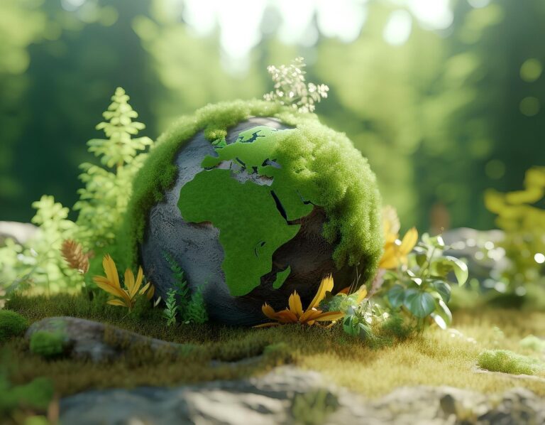 IN UNSEREM PROJEKT SETZEN WIR NACHHALTIGKEIT UM – SO KANN NACHHALTIGKEIT AUCH AUSSEHEN